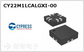 CY22M1LCALGXI-00