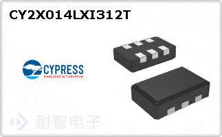 CY2X014LXI312T