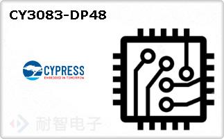 CY3083-DP48ͼƬ