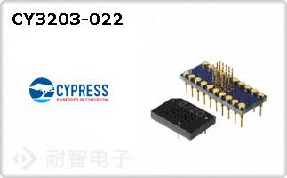 CY3203-022