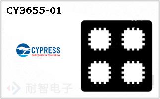 CY3655-01