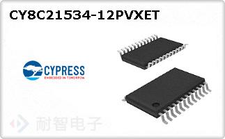 CY8C21534-12PVXET