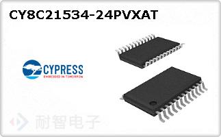 CY8C21534-24PVXAT