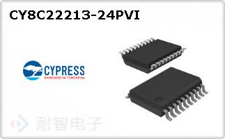 CY8C22213-24PVI