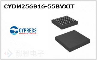 CYDM256B16-55BVXIT