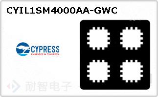CYIL1SM4000AA-GWC