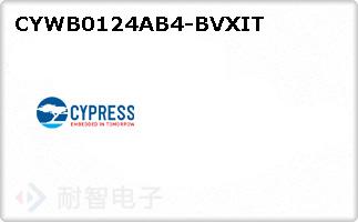 CYWB0124AB4-BVXIT