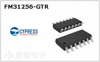 FM31256-GTR