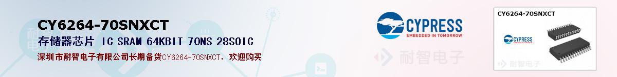 CY6264-70SNXCTıۺͼ