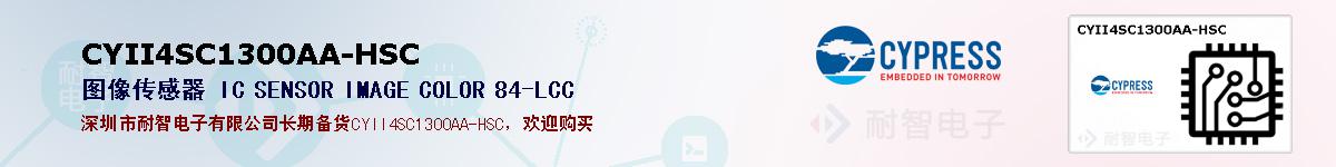 CYII4SC1300AA-HSCıۺͼ