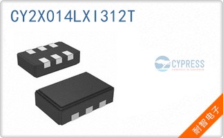 CY2X014LXI312T