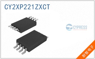 CY2XP221ZXCT