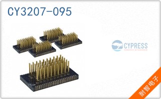 CY3207-095