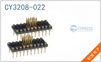 CY3208-022