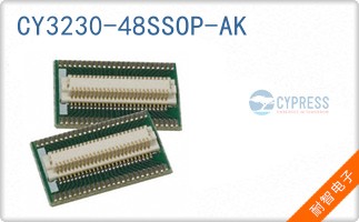 CY3230-48SSOP-AK