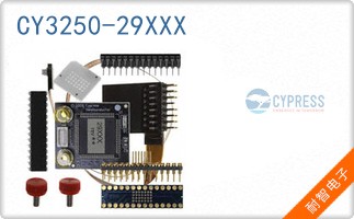 CY3250-29XXX