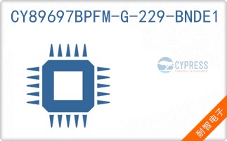 CY89697BPFM-G-229-BNDE1