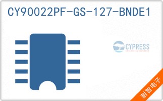CY90022PF-GS-127-BNDE1