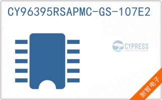 CY96395RSAPMC-GS-107