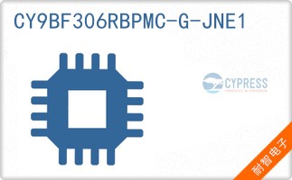 CY9BF306RBPMC-G-JNE1
