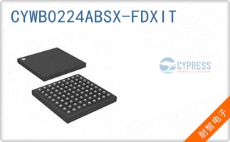 CYWB0224ABSX-FDXIT