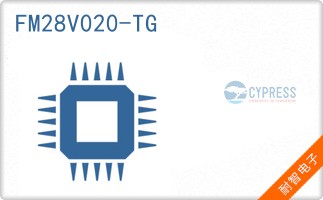 FM28V020-TG
