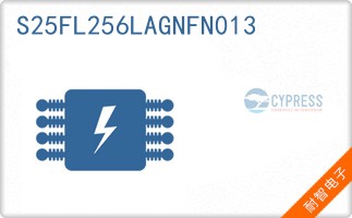 S25FL256LAGNFN013