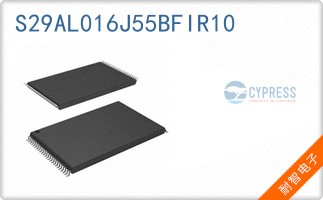 S29AL016J55BFIR10