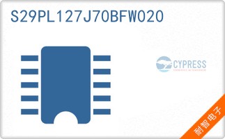 S29PL127J70BFW020