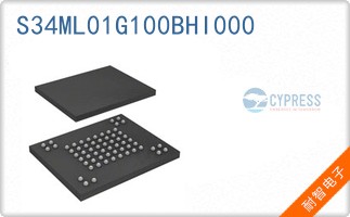 S34ML01G100BHI000