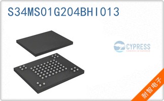 S34MS01G204BHI013