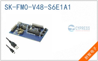 SK-FM0-V48-S6E1A1