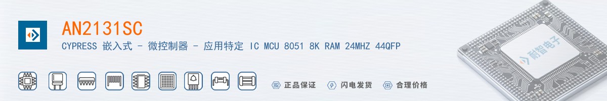 AN2131SC������