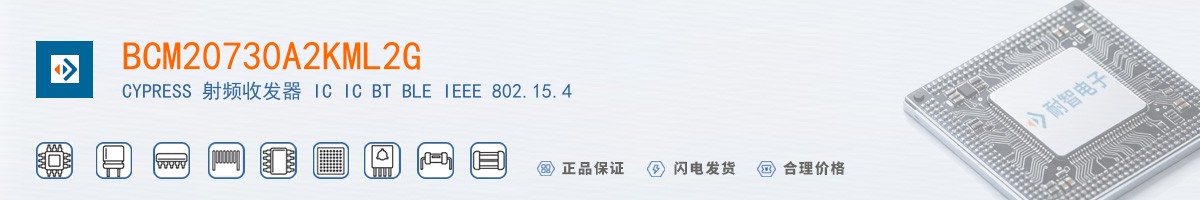 BCM20730A2KML2G������