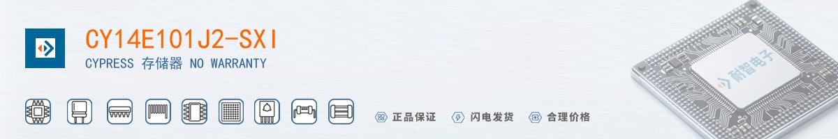 CY14E101J2-SXI������