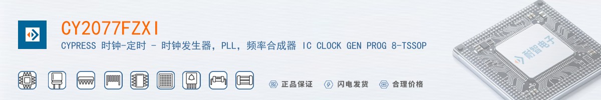 CY2077FZXI������