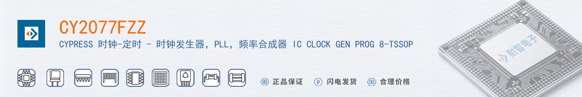 CY2077FZZ������