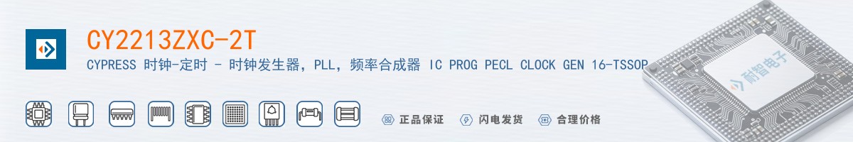 CY2213ZXC-2T������