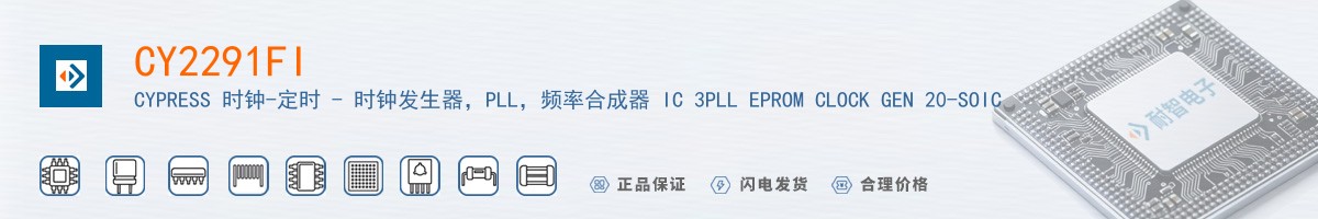 CY2291FI������