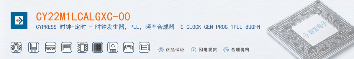 CY22M1LCALGXC-00������