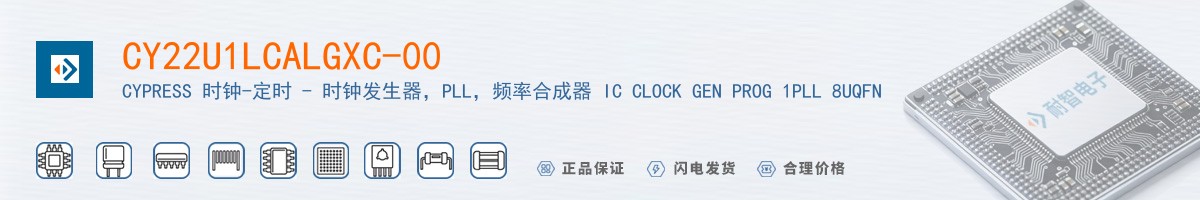 CY22U1LCALGXC-00������