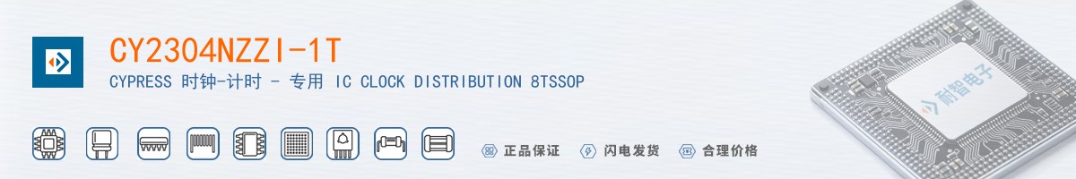 CY2304NZZI-1T������