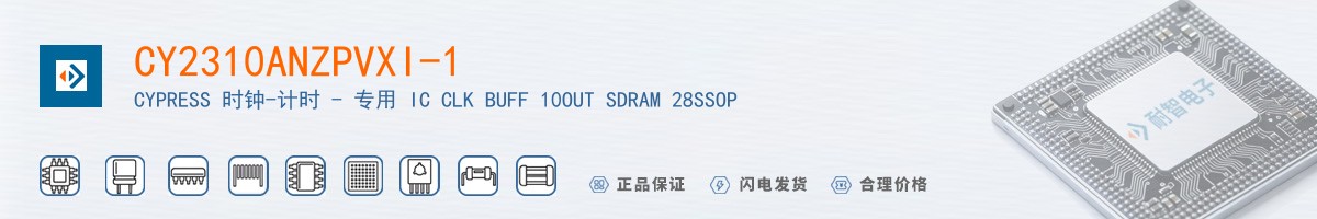 CY2310ANZPVXI-1������