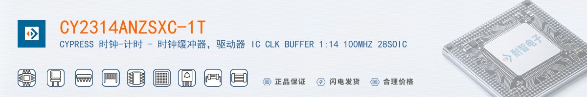 CY2314ANZSXC-1T������
