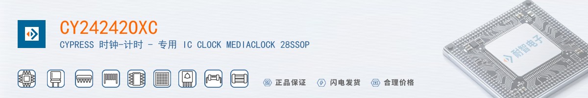 CY24242OXC������