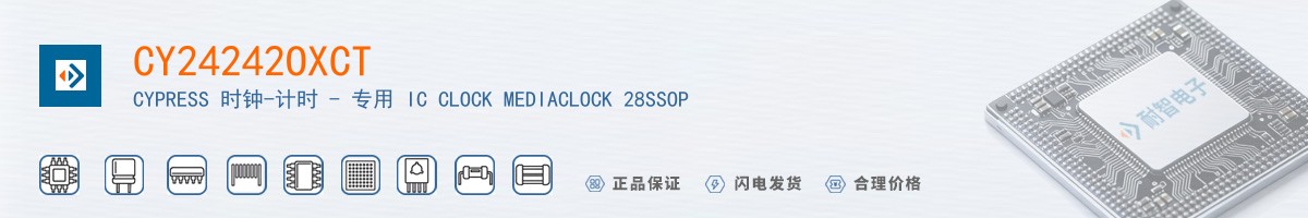 CY24242OXCT������