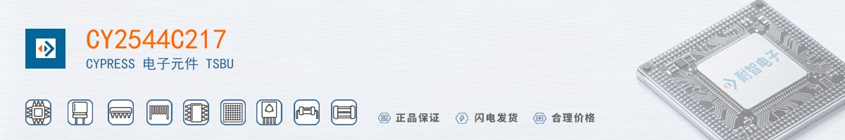 CY2544C217������