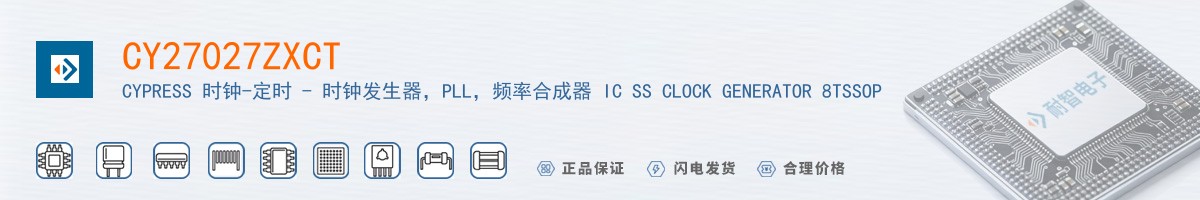 CY27027ZXCT������