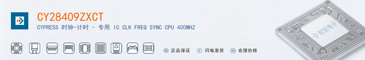 CY28409ZXCT������