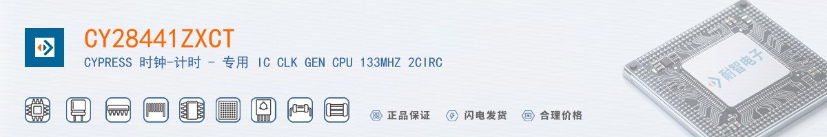 CY28441ZXCT������